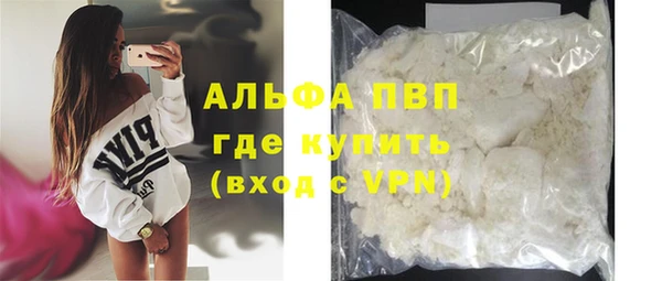 крисы Абаза
