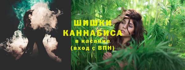 крисы Абаза